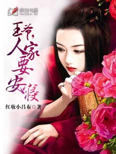 ����С˵:��������Ҫ����