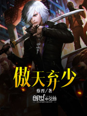 ����С˵:��������