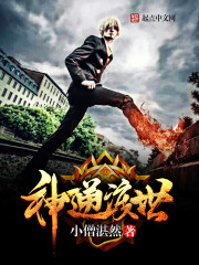 ����С˵:��ͨ����