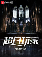 ����С˵:�������