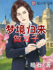 �ƻ�С˵:�ξ�����������