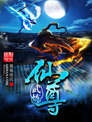 ����С˵:��������