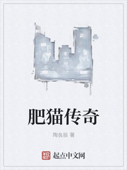 ����С˵:��è����