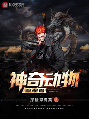 ����С˵:���涯�������