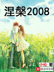 ����С˵:����2008