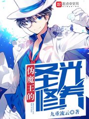 玄幻小说:伪魔王的圣光修养 玄幻小说:伪魔王的圣光修养