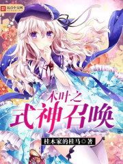 ����С˵:ľҶ֮ʽ���ٻ�