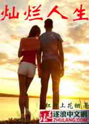 其他小说:灿烂人生 其他小说:灿烂人生