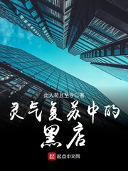 ����С˵:���������еĺڵ�