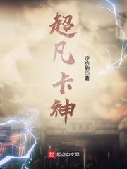 ����С˵:��������