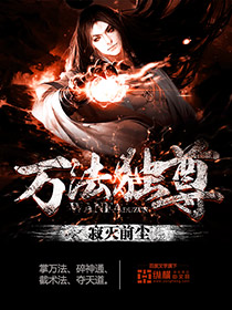 ����С˵:�򷨶���