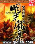 其他小说:明末风暴 其他小说:明末风暴