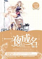 ����С˵:һҹ����ȫ��+����������