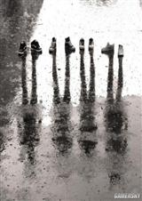 ����С˵:������