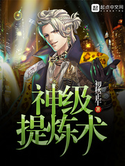 ����С˵:��������