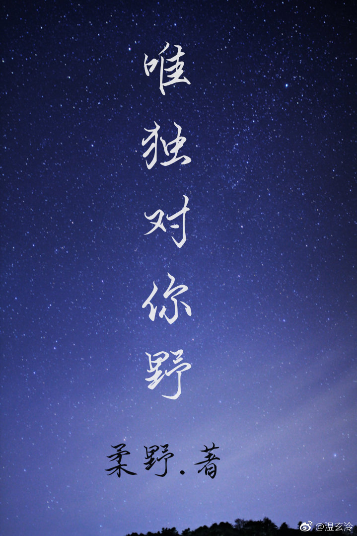 言情小说:唯独对你野 言情小说:唯独对你野