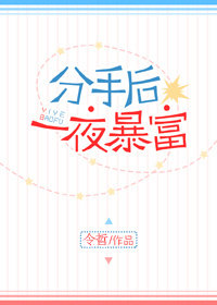 ����С˵:���ֺ�һҹ����