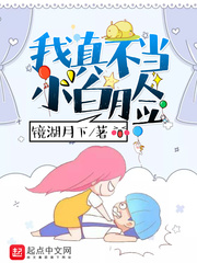 ����С˵:���治��С����