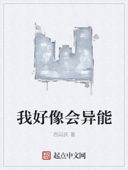 ����С˵:�Һ��������