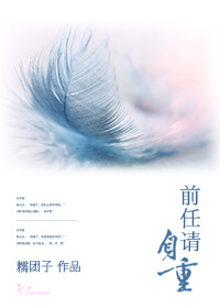 ����С˵:ǰ��������