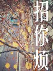 ����С˵:���㷳