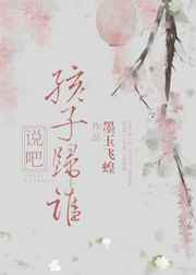 ����С˵:˵��,���ӹ�˭