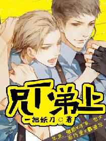 ����С˵:���µ���