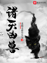 ����С˵:��������