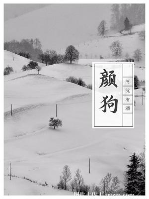 ����С˵:�չ�