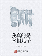 历史小说:我真的是宰相儿子 历史小说:我真的是宰相儿子