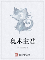 ����С˵:��������