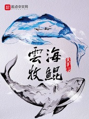 ����С˵:�ƺ�����