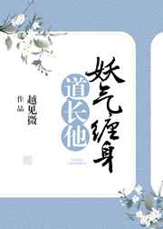 ����С˵:��������������