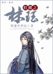 ����С˵:��¥֮����