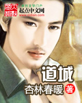 言情小说:道城 言情小说:道城