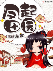 言情小说:凤起田园 言情小说:凤起田园