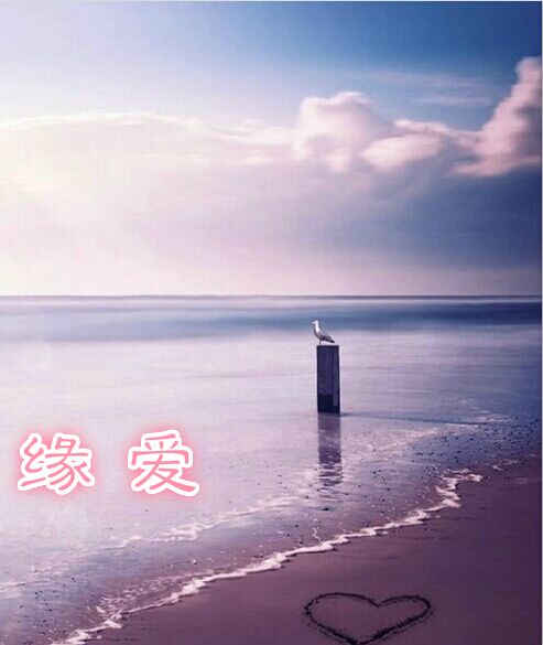 ����С˵:Ե��