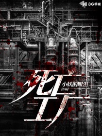 ����С˵:��������