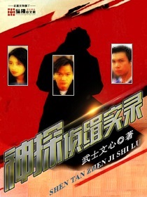 ����С˵:��̽�켩ʵ¼