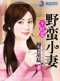 ����С˵:Ұ��С�޲�����