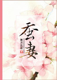 ����С˵:����