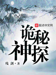 ����С˵:������̽