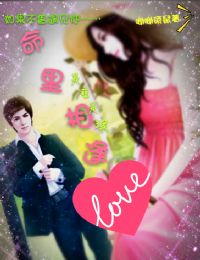 言情小说:命里相逢,是孽是缘 言情小说:命里相逢,是孽是缘