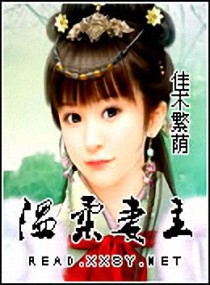 ����С˵:��������