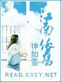 ����С˵:��������