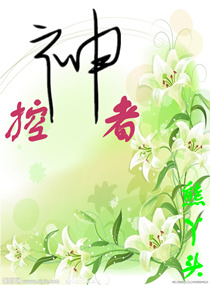 ����С˵:������