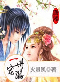 ����С˵:һ������