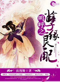 武侠小说:呜呼之孽缘良配 武侠小说:呜呼之孽缘良配