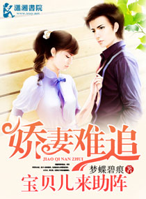 ����С˵:������׷������������