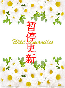 ����С˵:�����޳�,����ǿ�ư�